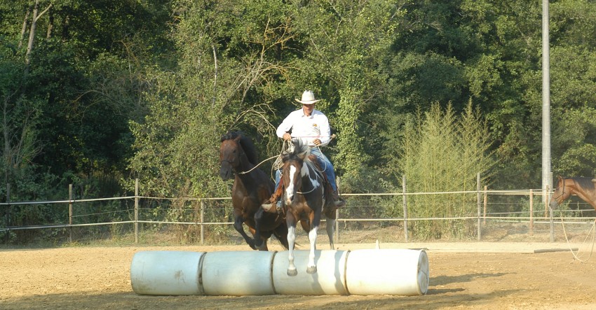Capire Il Cavallo Con Il Metodo Di Equitazione Naturale Parelli - Big Horses - Foto 8