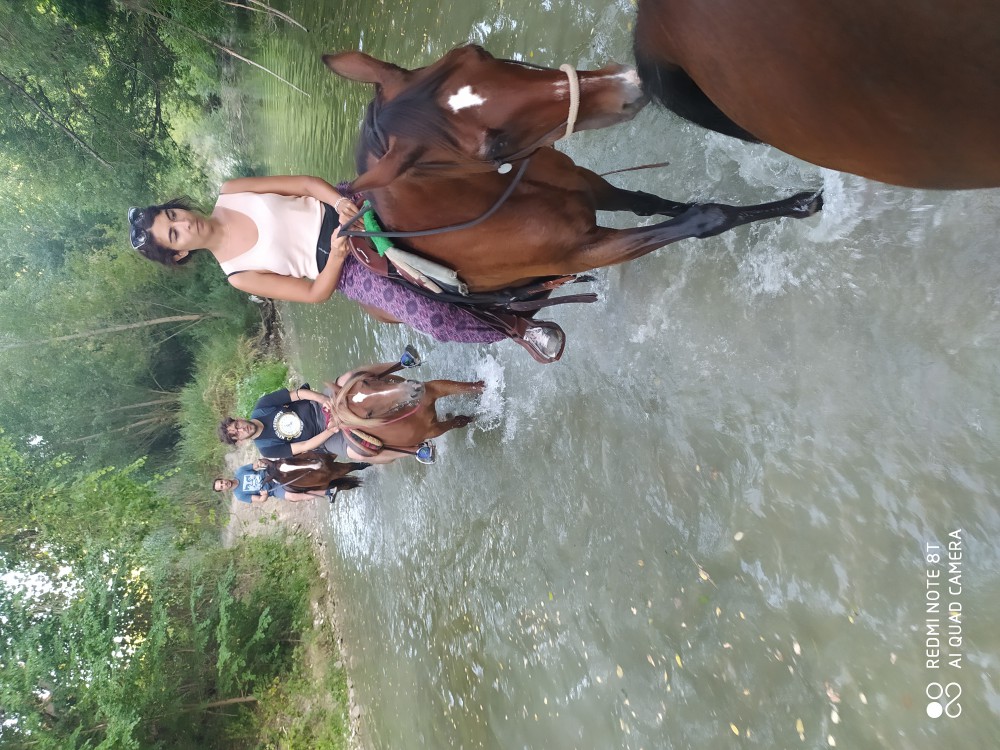 guado fiume con cavalli ben addestrati adatti anche a principianti e altri più giovani e sportividivertenti per esperti 