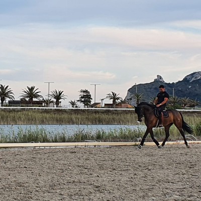 Caralis Equestre - Centro Di Alto Rendimento