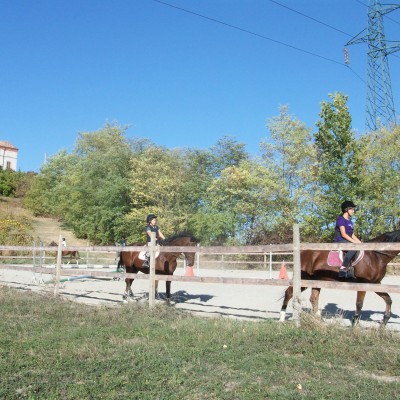 Società Azienda Agricola Godino S.S