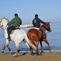 Centro Ippico Marignano