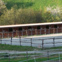 Circolo Ippico Canossa