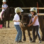 School Horse&Pony Gio