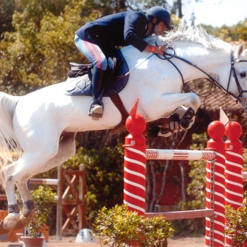 Equitation Roma ASD