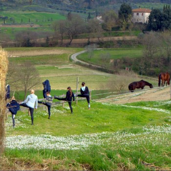 Associazione Equestre Tre Laghi