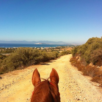 Officina Equestre