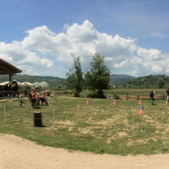 MARGARETE HORSE RANCH