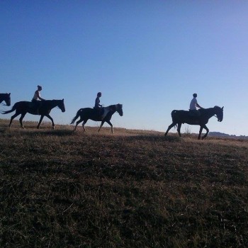 Centro Equestre Samarcanda