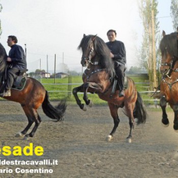 Centro Equestre Village Roller Horse