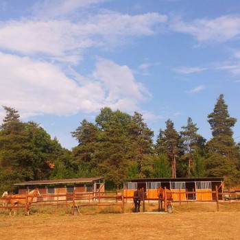 Rio Selvatico Ranch asd