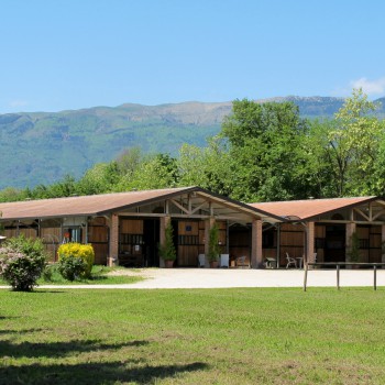 Cal Alta Horse Club