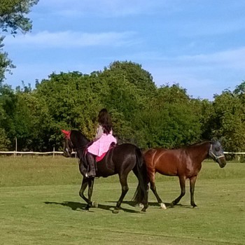 Centro Equestre Arioso