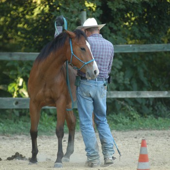 A.S.D Lischeto Ranch