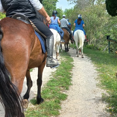 ASD ANTICO CONFINE SCUOLA DI EQUITAZIONE PER BAMBINI E ADULTI PASSEGGIATE A