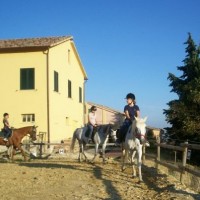 Amicizia Natura Vivere il Cavallo