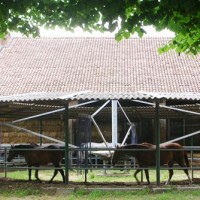 Agriturismo Locanda Erbatici