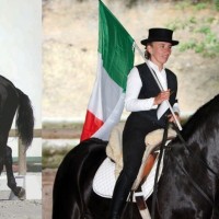 Centro Sportivo Equestre Il Corsiero Italiano asd