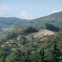 Centro di Equitazione Naturale La Vigna