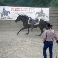 Piedimonte Equitazione Western