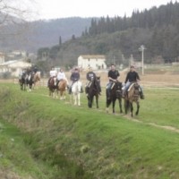 CENTRO IPPICO LA MARINELLA