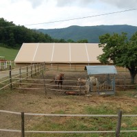 Azienda Agricola Pignano S.r.l.