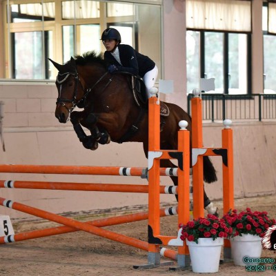 Red house riding club