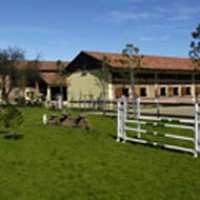 QUEEN ISABEL HORSE & PONY CLUB