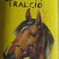 A.S.D. Il Tralcio