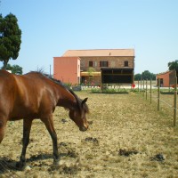 Conero ranch