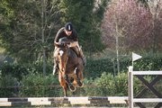 Horse jumping international a.s.d