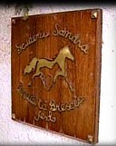 Scuderia Sandra