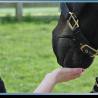 CENTRO EQUESTRE MEDICINESE A.S.D