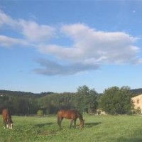 Centro Ippico Della Berardenga