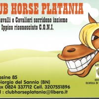 Club horse platania