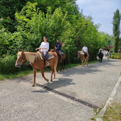 Mimosa Horse Ranch