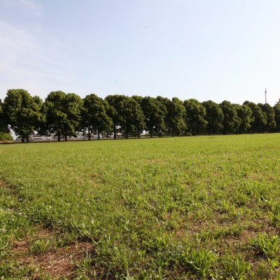 Centro equestre fontane