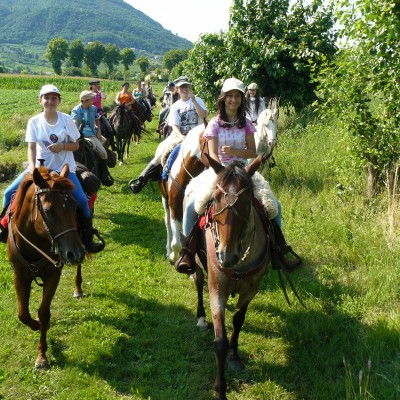 Centro Equestre Il Salice