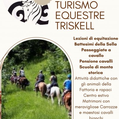 Centro Turismo Equestre Triskell 