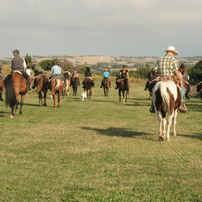 Sporty Farm