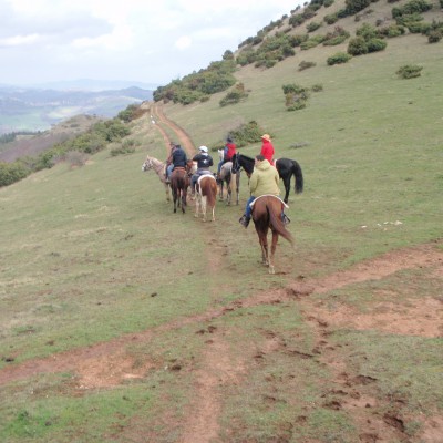 Western passion horse ranch