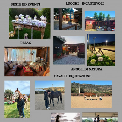 THE HORSE'S SOUL RANCH ASD APS 