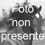 ALLEVAMENTO MONTEROSSO